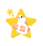 ジュウシマツ！使いやすいスタンプ3（個別スタンプ：5）