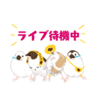ジュウシマツ！使いやすいスタンプ3（個別スタンプ：7）