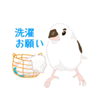 ジュウシマツ！使いやすいスタンプ3（個別スタンプ：11）
