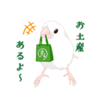 ジュウシマツ！使いやすいスタンプ3（個別スタンプ：20）