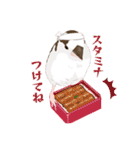 ジュウシマツ！使いやすいスタンプ3（個別スタンプ：22）