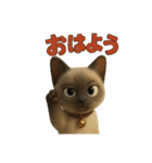 tuntun430（個別スタンプ：4）