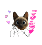 トンキニーズのスタンプ2（個別スタンプ：8）