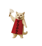 お猫様の吹き出しスタンプ6（個別スタンプ：4）
