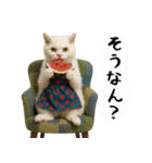 お猫様の吹き出しスタンプ6（個別スタンプ：5）