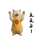お猫様の吹き出しスタンプ6（個別スタンプ：7）
