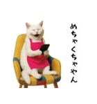 お猫様の吹き出しスタンプ6（個別スタンプ：10）
