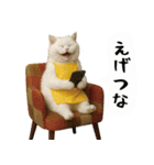 お猫様の吹き出しスタンプ6（個別スタンプ：14）