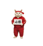 お猫様の吹き出しスタンプ6（個別スタンプ：19）