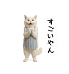 お猫様の吹き出しスタンプ6（個別スタンプ：22）