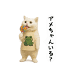 お猫様の吹き出しスタンプ6（個別スタンプ：24）