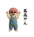 お猫様の吹き出しスタンプ6（個別スタンプ：25）