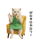 お猫様の吹き出しスタンプ6（個別スタンプ：27）
