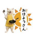 お猫様の吹き出しスタンプ6（個別スタンプ：28）