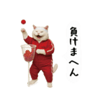 お猫様の吹き出しスタンプ6（個別スタンプ：34）