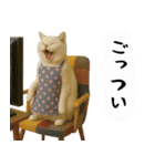 お猫様の吹き出しスタンプ6（個別スタンプ：37）