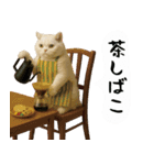 お猫様の吹き出しスタンプ6（個別スタンプ：38）