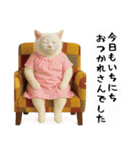 お猫様の吹き出しスタンプ6（個別スタンプ：39）