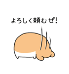 江戸っ子風ハムスター（個別スタンプ：33）