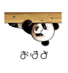 人間みたいなパンダ族（個別スタンプ：7）
