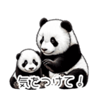 人間みたいなパンダ族（個別スタンプ：12）