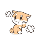 じゃれ犬（個別スタンプ：3）