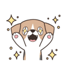じゃれ犬（個別スタンプ：15）