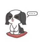 じゃれ犬（個別スタンプ：16）
