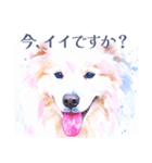 水彩を感じるわんこスタンプ（個別スタンプ：4）