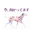 水彩を感じるわんこスタンプ（個別スタンプ：20）