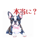 水彩を感じるわんこスタンプ（個別スタンプ：25）