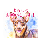 水彩を感じるわんこスタンプ（個別スタンプ：31）