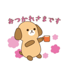 わんにゃん丁寧スタンプ（個別スタンプ：1）
