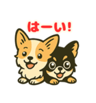 小さな黒と白茶のチワワたち2（個別スタンプ：5）