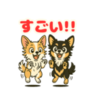 小さな黒と白茶のチワワたち2（個別スタンプ：6）
