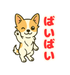 小さな黒と白茶のチワワたち2（個別スタンプ：7）