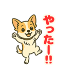 小さな黒と白茶のチワワたち2（個別スタンプ：14）