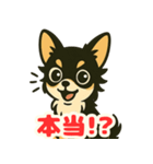 小さな黒と白茶のチワワたち2（個別スタンプ：15）