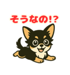 小さな黒と白茶のチワワたち2（個別スタンプ：22）