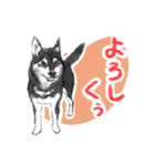 毎日使えるモフ語録！（個別スタンプ：4）