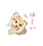 毎日使えるモフ語録！（個別スタンプ：5）