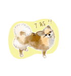 毎日使えるモフ語録！（個別スタンプ：7）