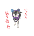 毎日使えるモフ語録！（個別スタンプ：8）