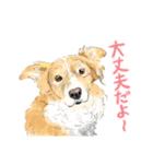 毎日使えるモフ語録！（個別スタンプ：11）
