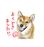 毎日使えるモフ語録！（個別スタンプ：14）