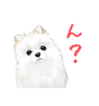 毎日使えるモフ語録！（個別スタンプ：18）