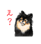 毎日使えるモフ語録！（個別スタンプ：19）