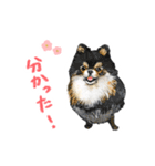 毎日使えるモフ語録！（個別スタンプ：20）