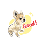 毎日使えるモフ語録！（個別スタンプ：21）