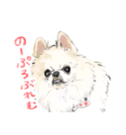毎日使えるモフ語録！（個別スタンプ：24）